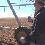 Uzgajivači pamuka usvajaju novu tehnologiju za unapređenje učinkovitosti