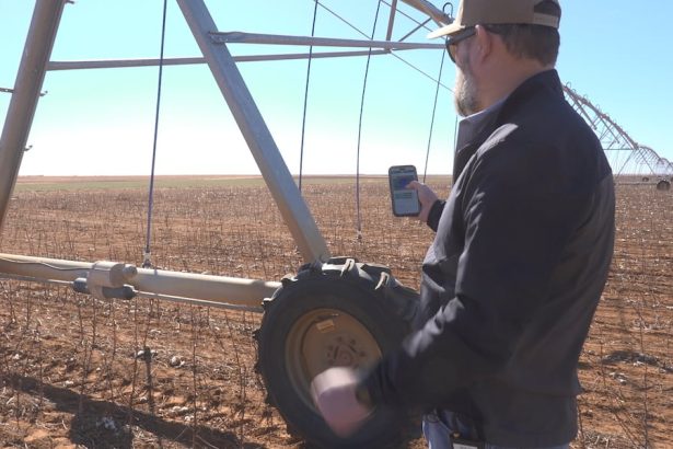 Uzgajivači pamuka usvajaju novu tehnologiju za unapređenje učinkovitosti