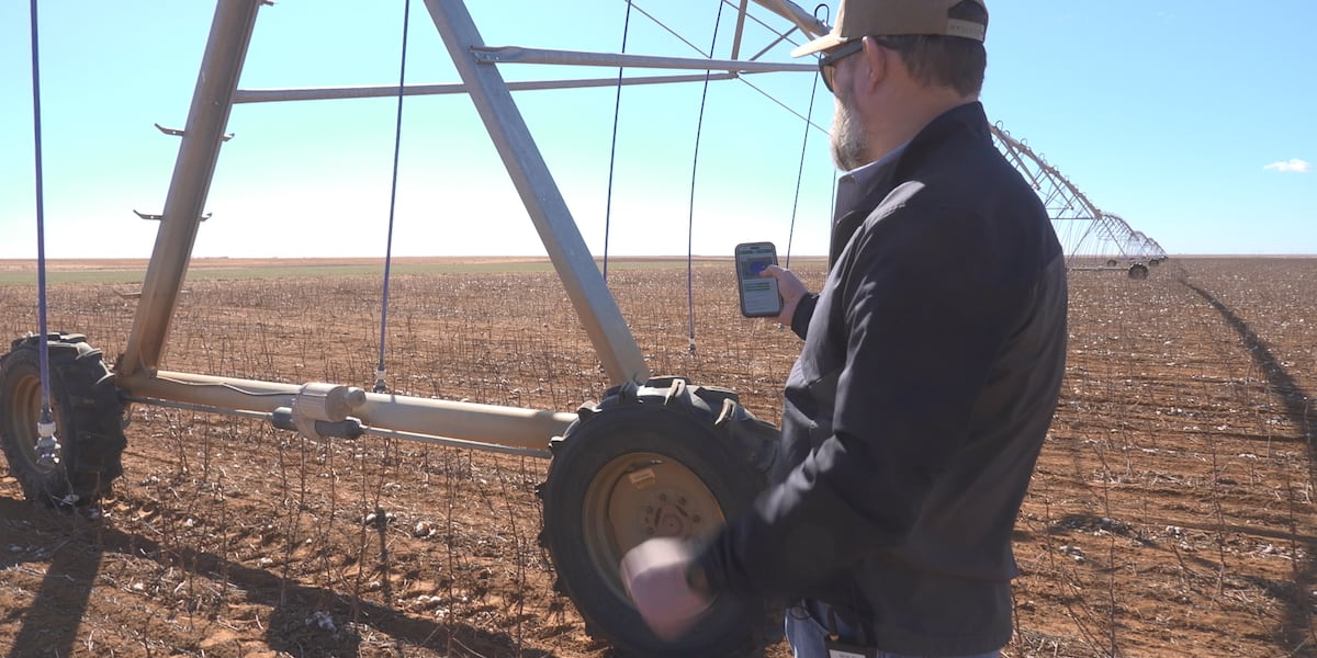 Uzgajivači pamuka usvajaju novu tehnologiju za unapređenje učinkovitosti