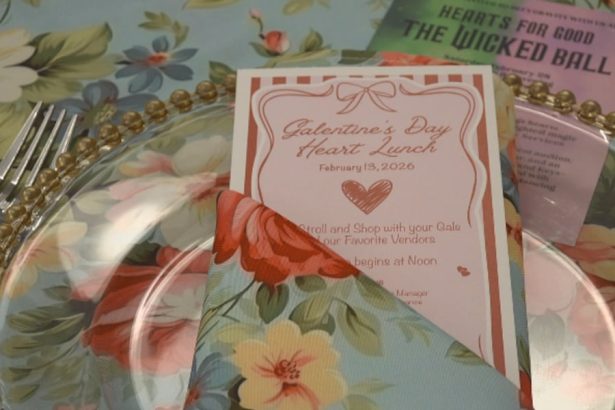 Zaklada Camden Clark organizira 15. godišnji ženski ručak za zdravo srce