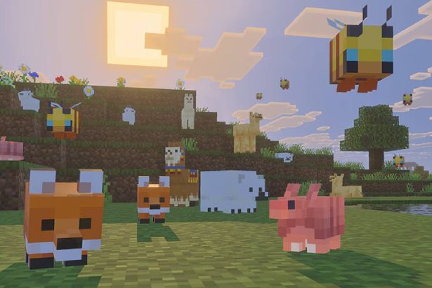 Mislim da bi sljedeće ažuriranje Minecrafta moglo doista donijeti nove dječje mafije, i zapravo nisam toliko ljut zbog toga.