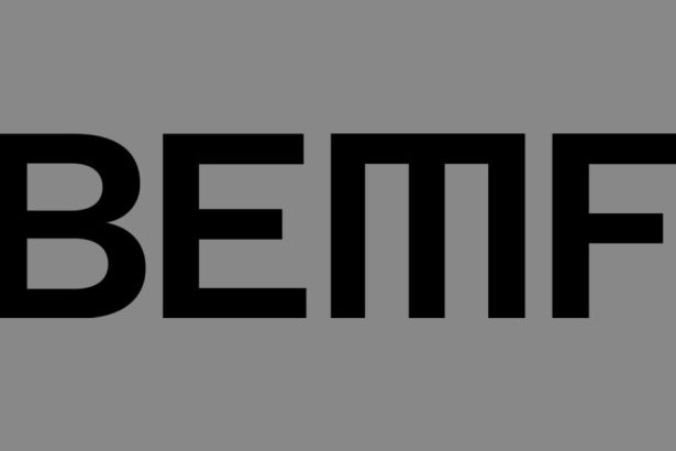 Brooklyn Electronic Music Festival to Make a Comeback in March 2026