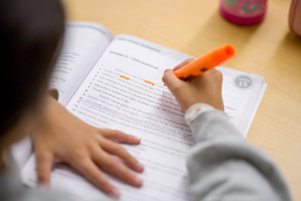 Tehnologija u učionici nije unaprijedila obrazovanje moje djece