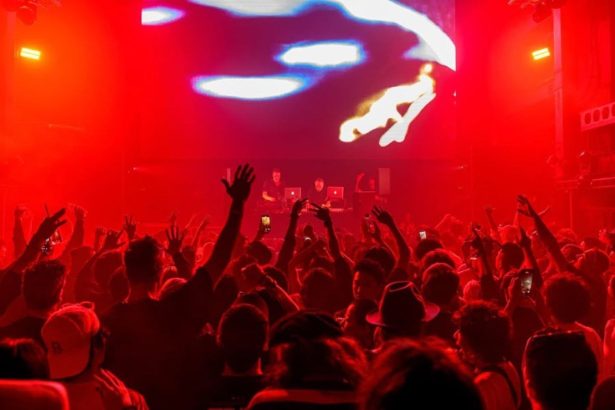 Exploring Clubs, Festivals, and Underground Scenes