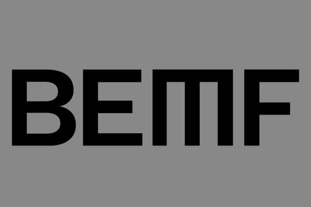 Brooklyn Electronic Music Festival Returns After Seven-Year Break