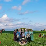 A Guide to Effectively Carrying Out a Technology Detox