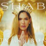 SNB Youtube Thumbnail 1 1000x600