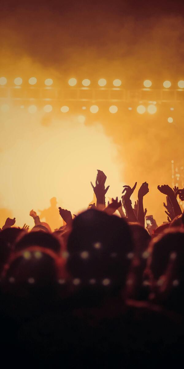 bild 2403846 600 1201