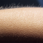 EDM Goosebumps: Understanding Why Only Certain Individuals Feel It EDM Goosebumps: Understanding Why Only Certain Individuals Feel It