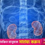 70% of Kidney Disease Cases Can Be Prevented Through Awareness and Healthy Living, Experts Say