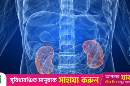 70% of Kidney Disease Cases Can Be Prevented Through Awareness and Healthy Living, Experts Say