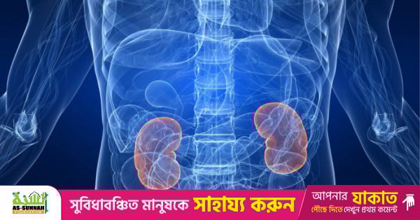 70% of Kidney Disease Cases Can Be Prevented Through Awareness and Healthy Living, Experts Say