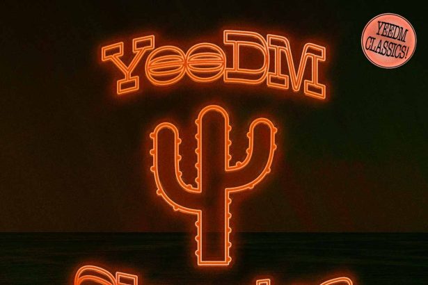 The Thrilling Fusion of Nashville and Electronic Music