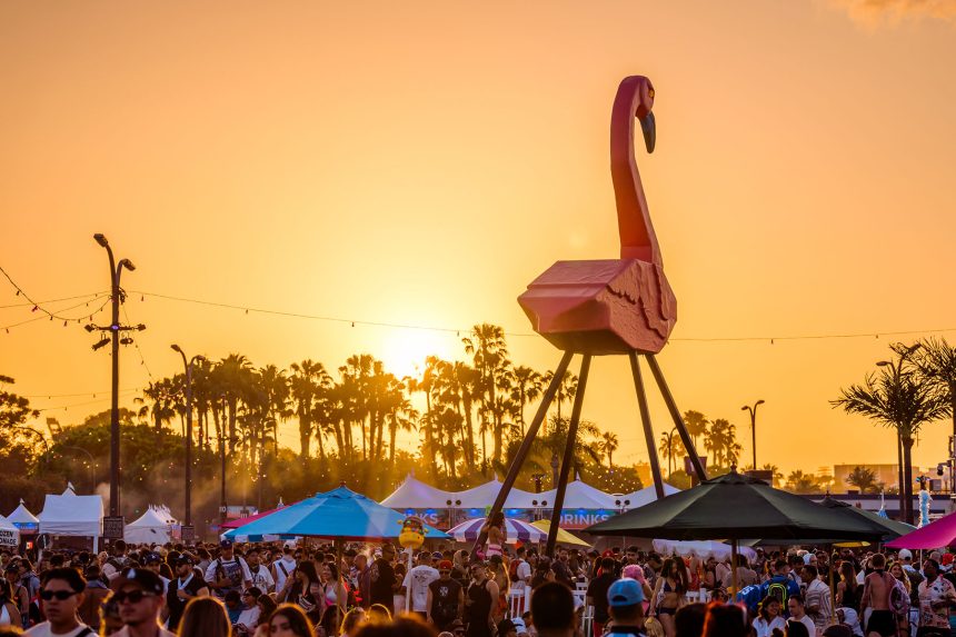 DayTrip Fetival Official