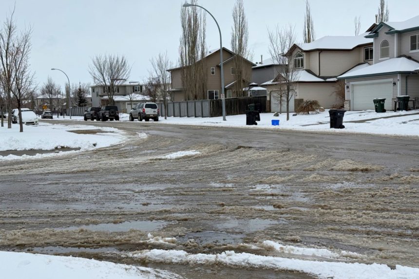 MixCollage 22 Apr 2026 12 20 PM 6397