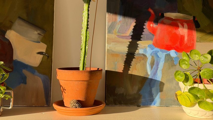 https3A2F2Fsubstack post media.s3.amazonaws.com2Fpublic2Fimages2Fcca01ec3 05ba 47fd b4e0 5fde1