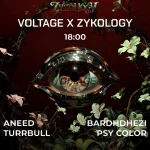 05 voltage
