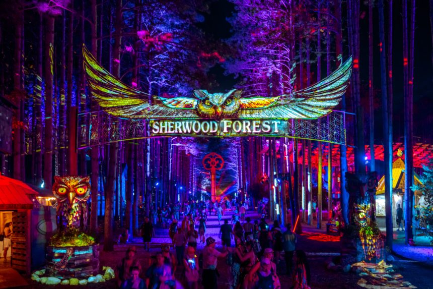EF2025 0620 234541 9412 DB ALIVE
