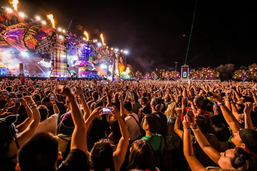 beyond wonderland