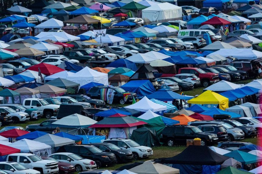 Music Festival Dead Baby 82916