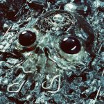 King Gizzard & The Lizard Wizard Unveil 28th Album 'Alien Metal' and Brooklyn Rave 18 King Gizzard the Lizard Wizard Alien Metal LP Artwork