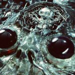 Review of King Gizzard & the Lizard Wizard's Alien Metal Album 23 King20Gizzard2020the20Lizard20Wizard20 20Alien20Metal20 20LP20Artwork