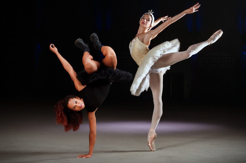 Swan Lake Remixed for ADE press © Michel Schnater 4 copia
