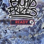 Stupid Prizes Unleashes Funky Vibes and Intensity with New Single "Ready" 15 stupid prizes ready