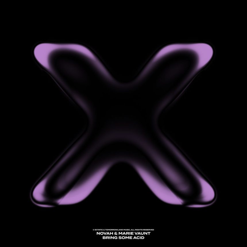 Novah and Marie Vaunt, artists behind the collaboration Bring Some Acid
